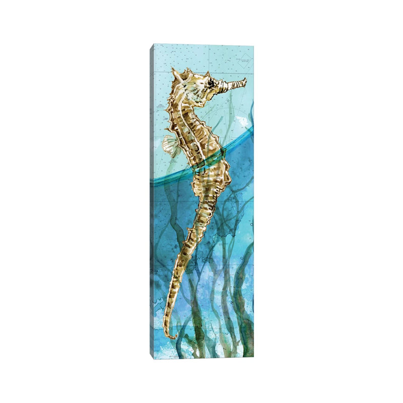 Atlantic Seahorse by Carol Robinson - Panoramic Print on Canvas, Wrapped Canvas, 30.48 cm H x 91.44 cm W x 3.175 cm D
