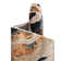 Brantlie Abstract Indoor Rug