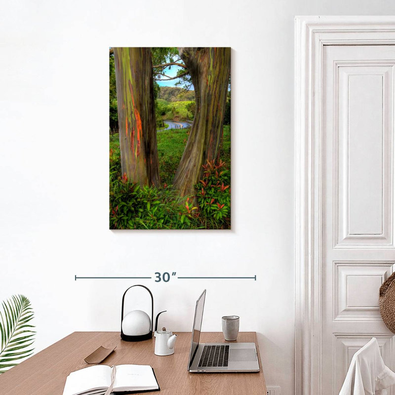 Harnek Roadside Rainbow Eucalyptus, 30" H x 20" W