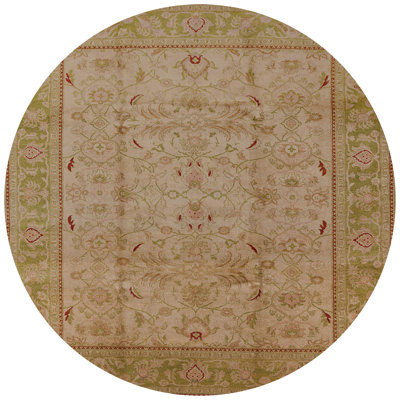 Cassady Oriental Indoor Rug
