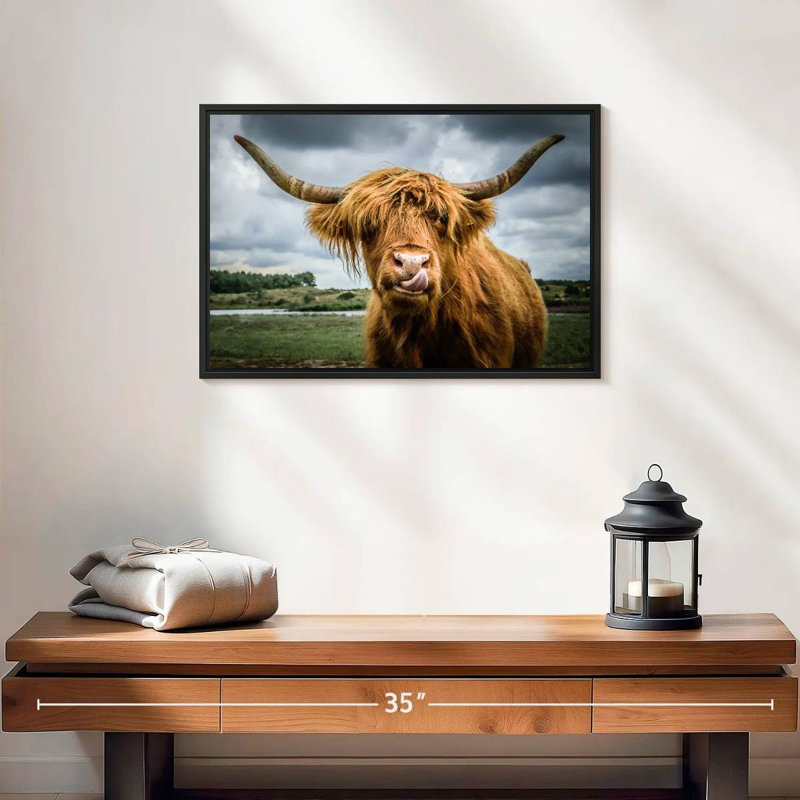 Brampt Silly Highland Cow, H 13 po x l 19 po