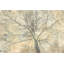 3AI6377 Below My Tree II by Alessio Aprile - Wrapped Canvas Art Prints-2052360385