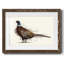 Pheasant Splash 1-1796011477-1796011502