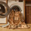 Machine Washable Turkish Brown Area Rug-2119885638