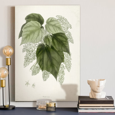 « Sage Botanical III », reproduction d’art sur toile tendue