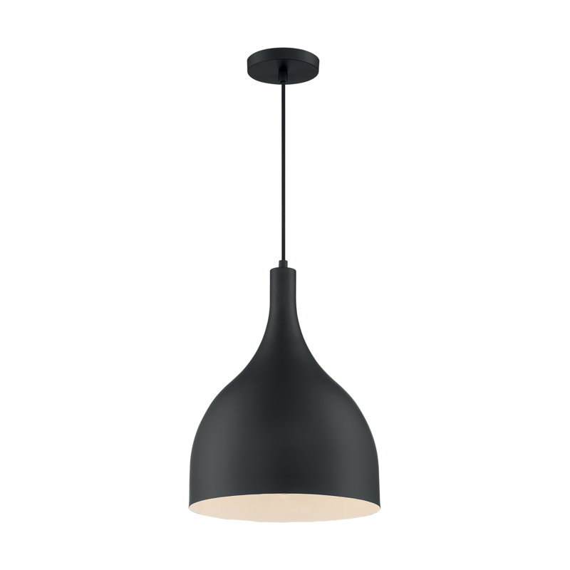 Luminaire suspendu en forme de goutte à 1 lumière Bellingham, Noir mat, H 16,38 po x l 12 po x P 12 po