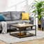 Adesh Coffee Table with Storage