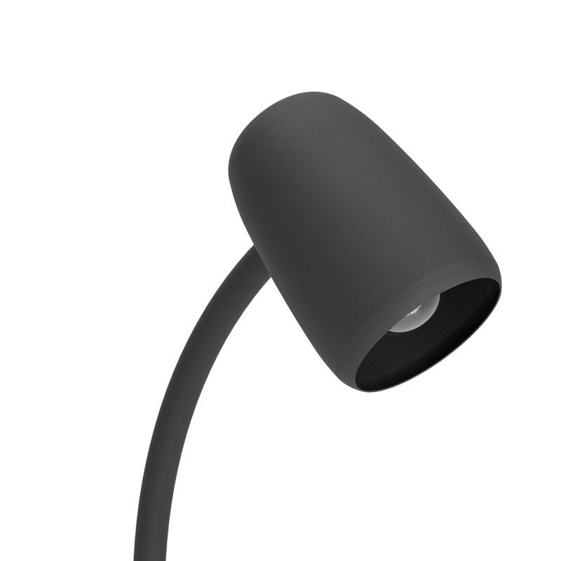 Carlo Modern Flexible Desk Lamp, Black