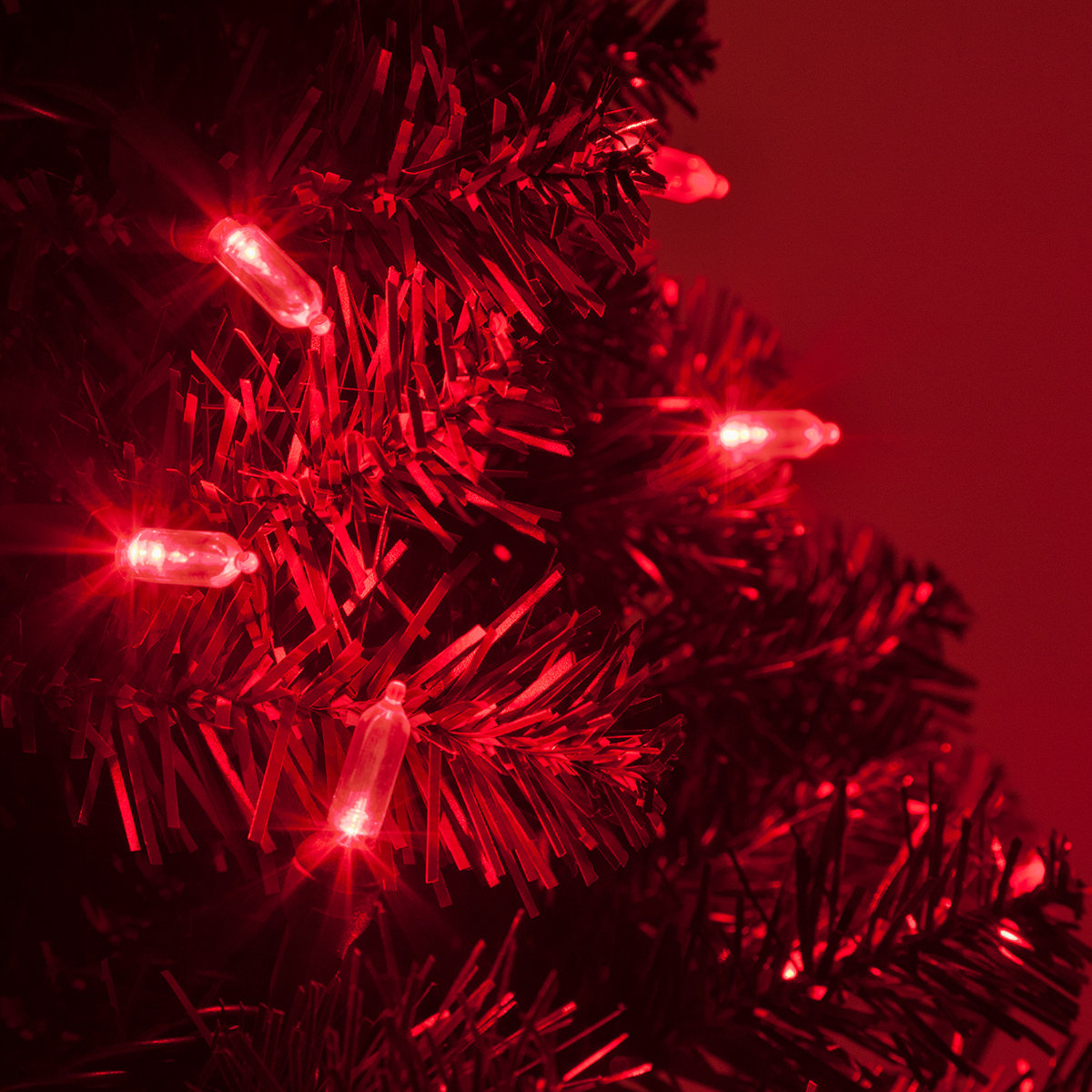 25.5' Steady LED String Lights, Red