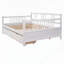 Lit de jour polyvalent avec deux tiroirs pour optimiser l'espace-1173341677-1173341679