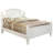 Penncross Standard Bed-19037667-19037670