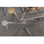 Anntoinette Glass Top Metal Base Dining Table