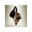 Gilt Shells IV Print by Zoey Riley-26935448-26935449