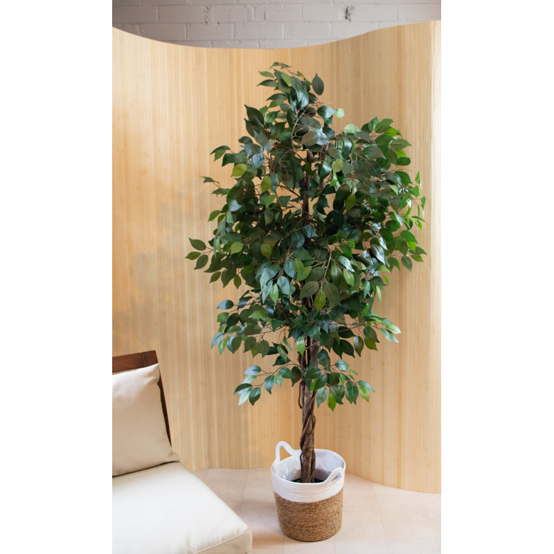 180cm Faux Ficus Tree Tree in Pot
