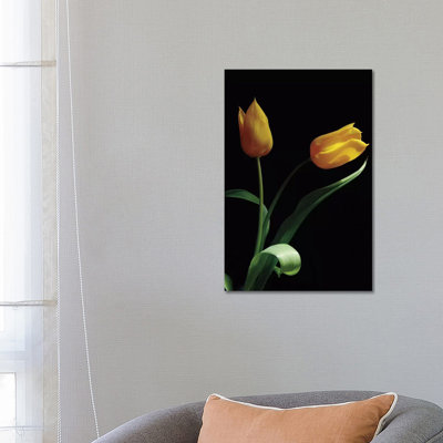 Trust 1 Piece Wrapped Canvas Wall Art
