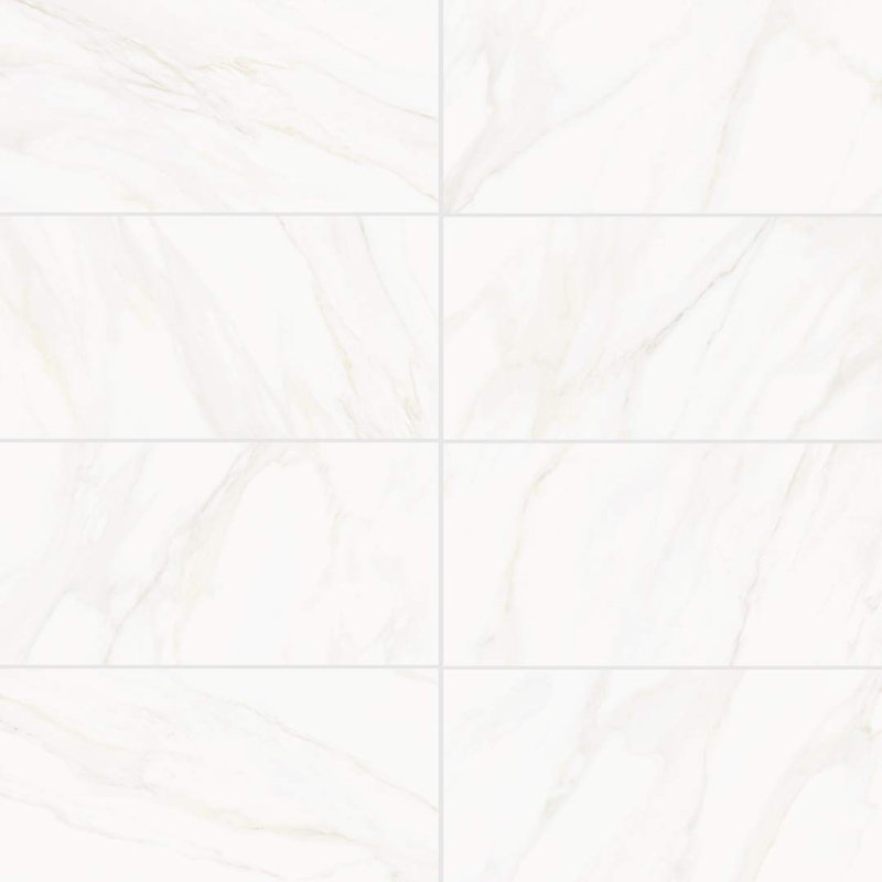  The Tile Life Savannah 12" x 24" Calacatta Gold Porcelain Wall Tile, White Polished