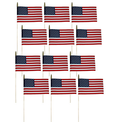 Double Sided 3'' H x 12'' W Polyester House Flag