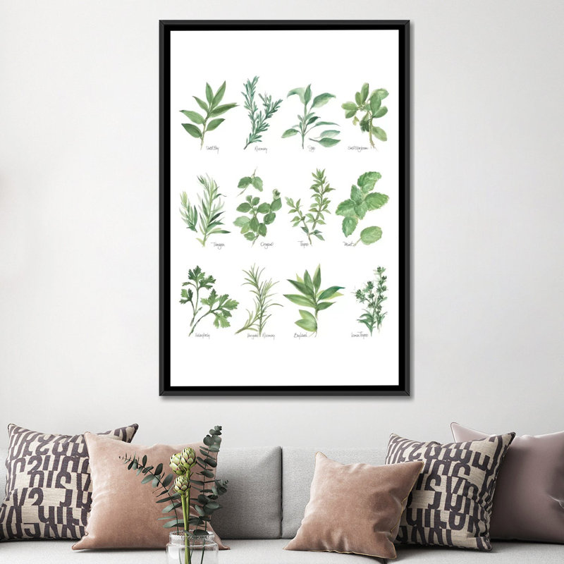 « herb chart i », reproduction d’art sur toile, H 26 po x l 18 po x P 1,5 po, Toile avec cadre noir, Pas de tapis