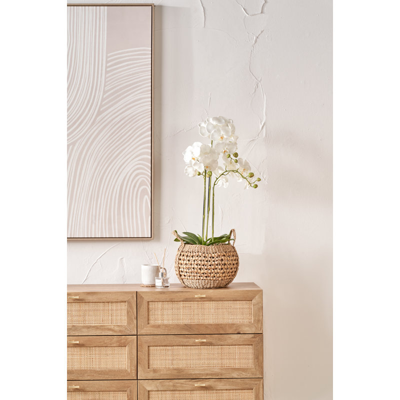 80cm Faux Plant in Cement Pot Liner