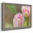 " Blush "-1502059756-1502059757