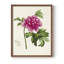 «Pretty Botanicals I», reproduction encadrée - bois massif-1495373841-1495373848