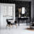 Tazz Black Ribbons Wallpaper