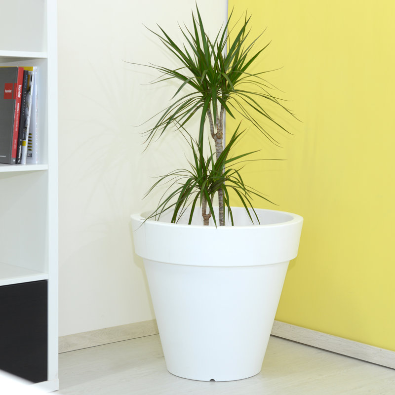 PEGASUS Conical Pot   Diameter, 70cm H x 80cm W x 80cm D, White