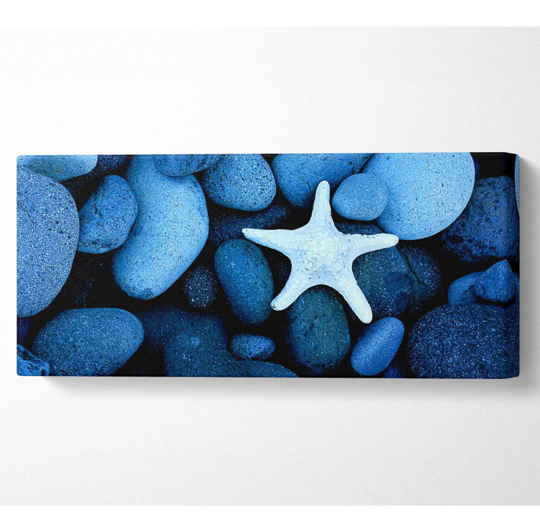 Star Fish Rocks - Druck