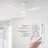 52'' Ceiling Fan with LED Lights-1621257687