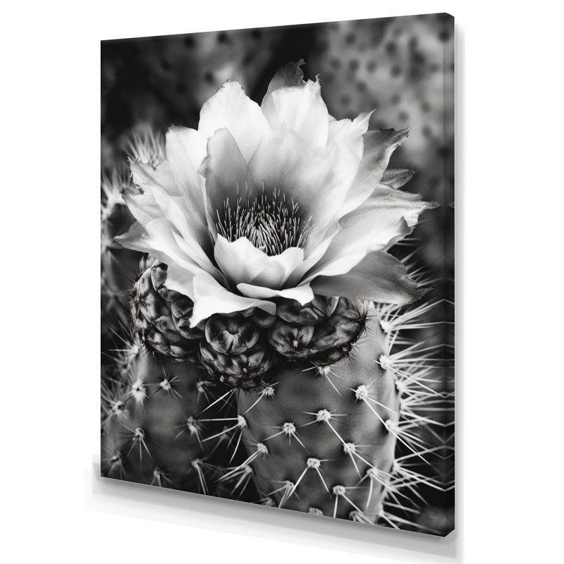 Naythen Gray Desert Cactus I sur toile, H 32 po x l 24 po x P 1 po, Toile tendue
