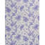 Toile San Cristobal-49396794