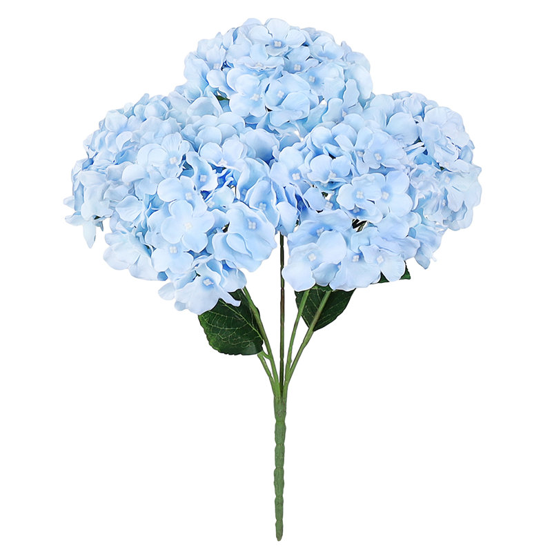 Hortensia de luxe, Bleu pastel