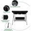 Deray Double Swing Chair with Stand
