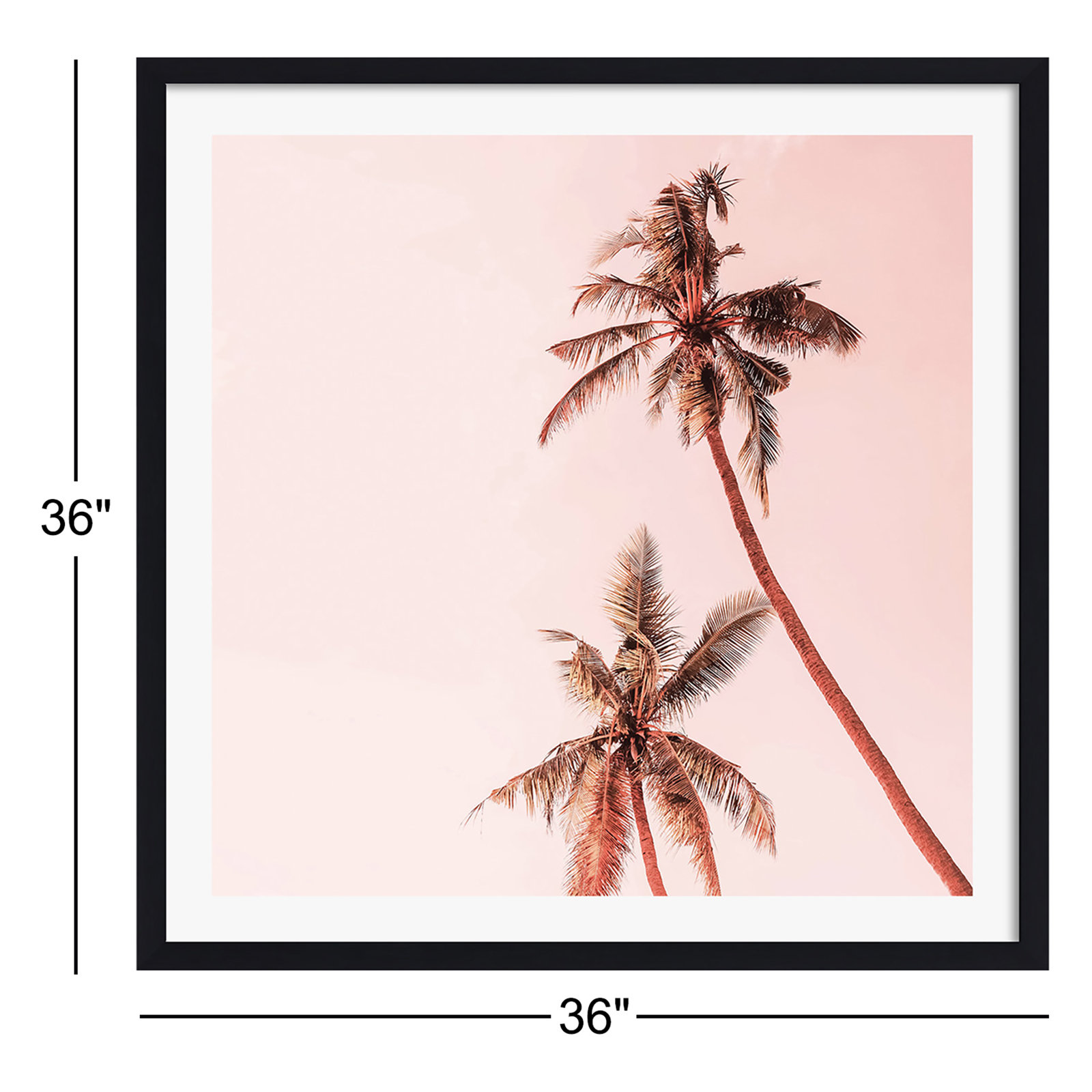 Sunset Palm Trees by Gale Switzer, Black Single Picture Framed, Yes, 36" H x 36" W x 0.75" D
