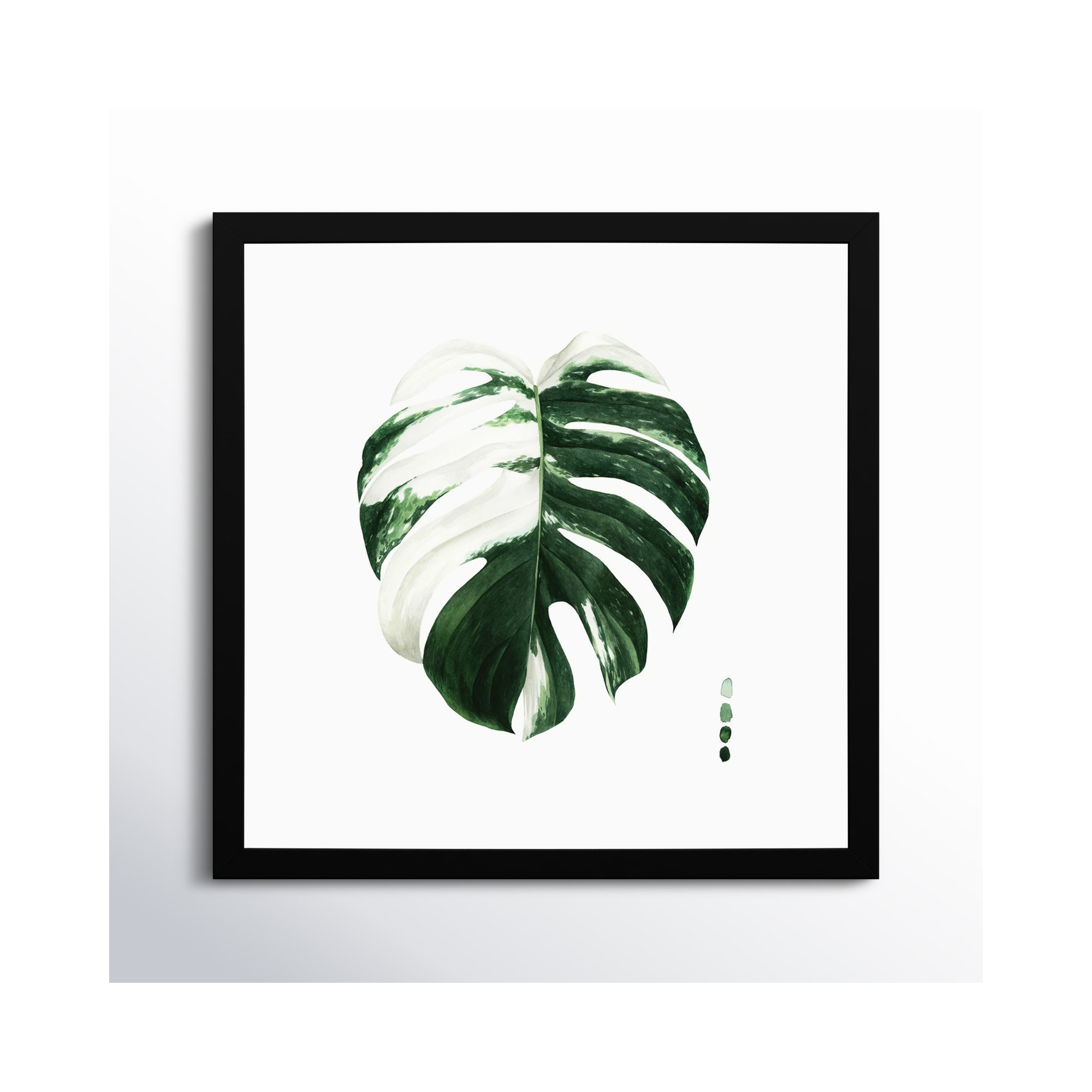 Variegated Monstera II by Grace Popp, Black Framed Paper, 19.38" H x 19.38" W x 0.88" D