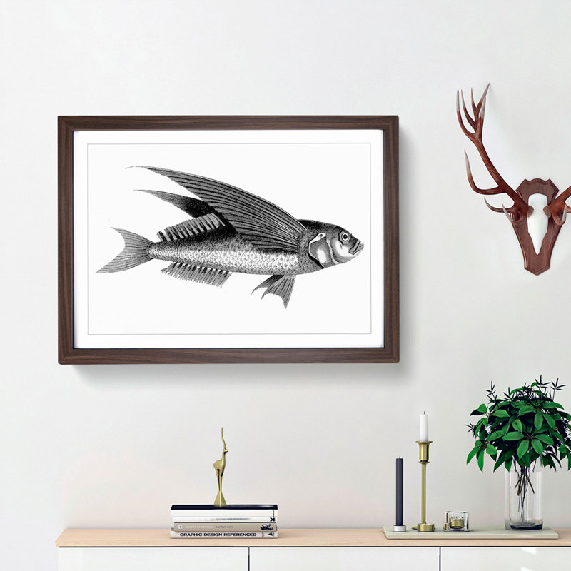 Oceanic Flying Fish in Black & White by George Shaw - Framed Print, 27cm H x 36cm W x 2cm D, Walnut Framed