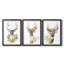 Collection Holiday B Deer-271487300-271487301