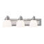 Amerion 3 - Light Dimmable Vanity Light-21529989