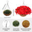 52cm Plant