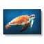 Sea Turtle In The Blue Ocean In Abstract - Wrapped Canvas-55339381
