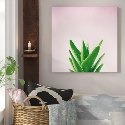 " Succulent Simplicity V On Pink "