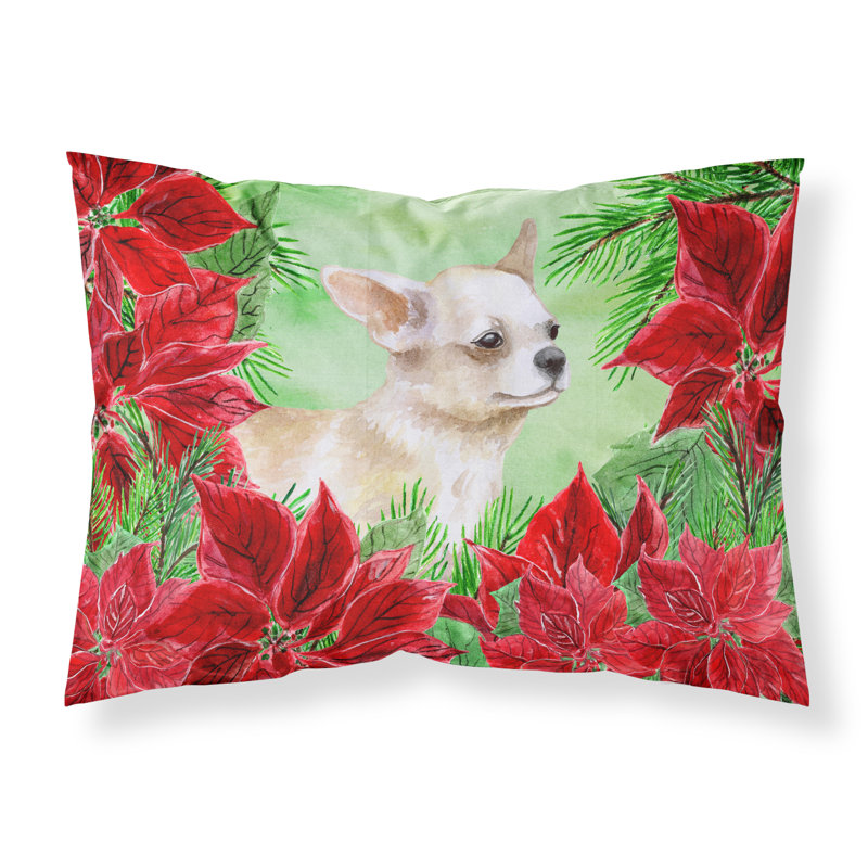 Microfiber, Beige Chihuahua