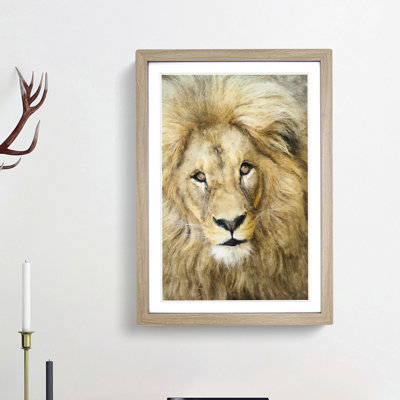 The Face of a Lion - Picture Frame Painting Print on MDF