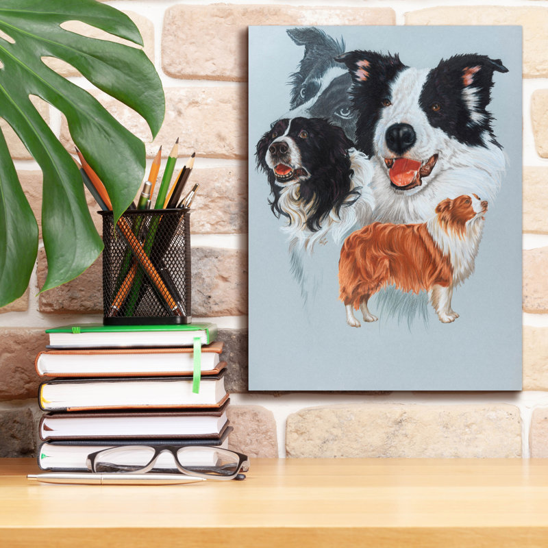 "Boarder Collie" par Barbara Keith, H 16 po x l 12 po