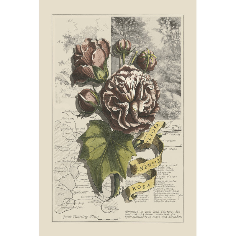Garden For June I by D. Bookman - Wrapped Canvas Print, 46cm H x 30cm W