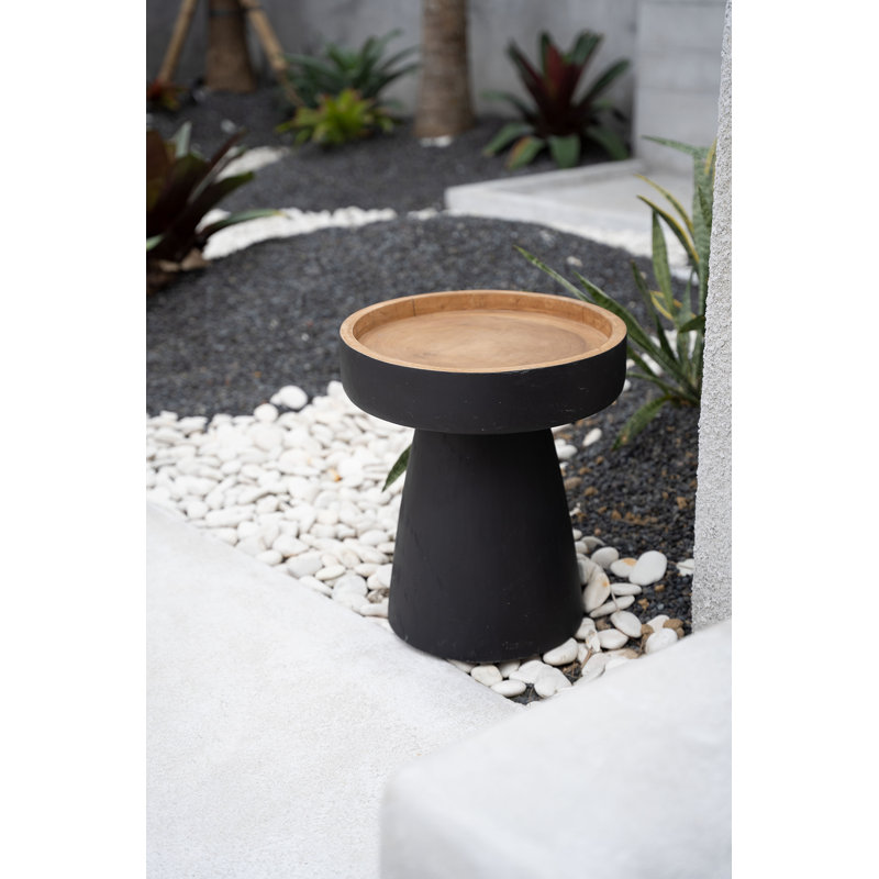 Negin Solid Wood End Table