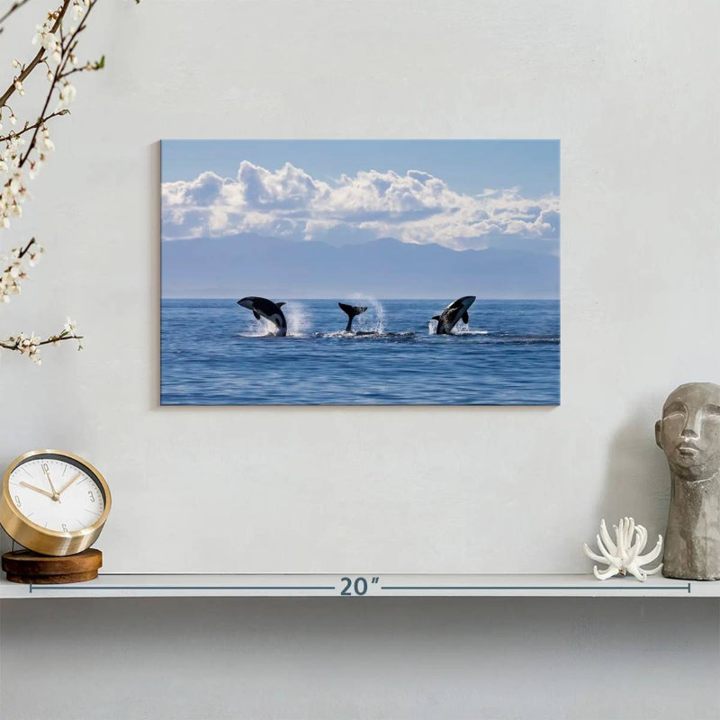 Brampt Lively Killer Whales, 8" H x 12" W