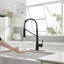 Pull Down Single Handle Kitchen Faucet with Accessories-87183577