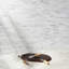 Asian Statuary Big Brick Pattern Marble Mosaic Tile