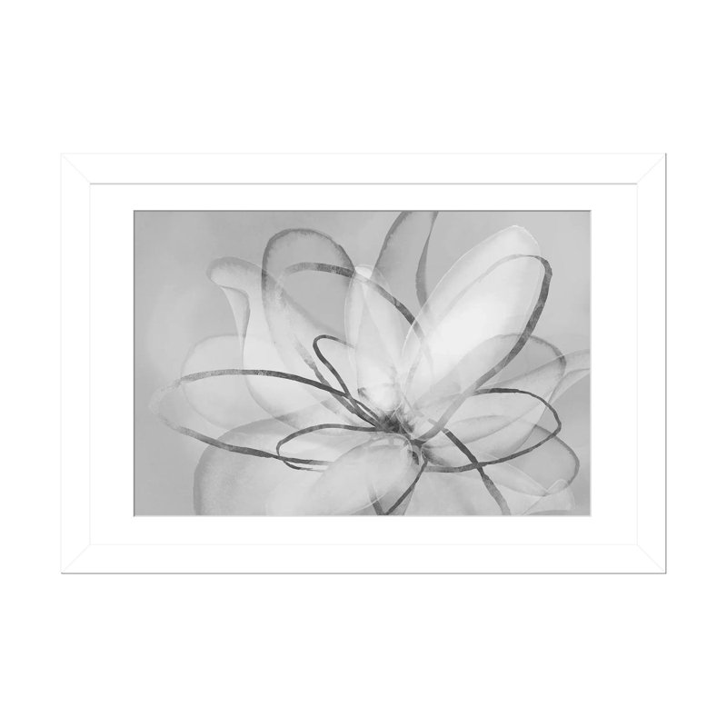 Transparent Beauty III - Black & White, White Open Corner Framed, 16" H x 24" W